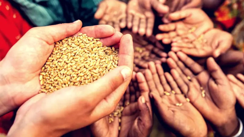 Hands sharing grains of rice